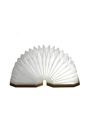 Accordio Light - Image 3