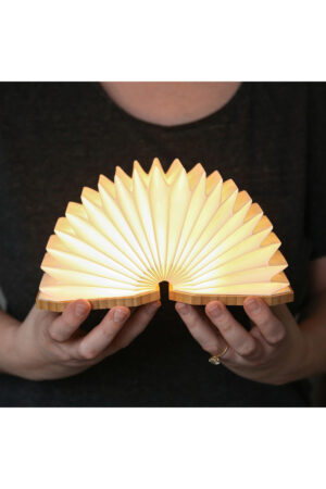 Accordio Light - Image 4